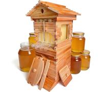 Autoflowering Beehive Starter Kit, Wooden Automatic Bee Boxes with 4 Frames and 6 Honeycomb Trays, Beekeeping Supplies for Garden Pollinators