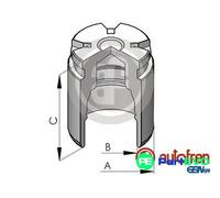 AUTOFREN SEINSA BRAKE CALIPER PISTON D025120 FOR ROVER TOYOTA HYUNDAI LEXUS