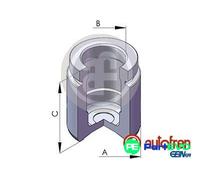AUTOFREN SEINSA BRAKE CALIPER PISTON D025125 FOR BMW VOLVO