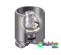 AUTOFREN SEINSA BRAKE CALIPER PISTON D025126K FOR AUDI MERCEDES-BENZ VW