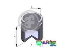 AUTOFREN SEINSA BRAKE CALIPER PISTON D025213 FOR FORD NISSAN