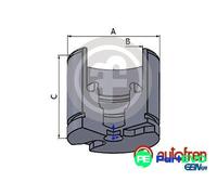 AUTOFREN SEINSA BRAKE CALIPER PISTON D025256 FOR CITROËN