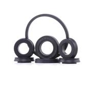 Autofren Seinsa D1160 Repair Kit, brake master cylinder