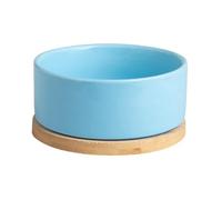 automatic cat feeder， Ceramic Pet Bowl - Heated Water Feeder, USB Self Warming Dish | Large Capacity Base with Auto System(Blue)