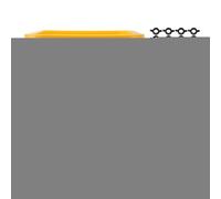 Automatic Chicken Waterer Cup Poultry Drinking Equipment Gravity Watering System with 12L Handheld for Chicken Duck Goose Durable Plastic 28 3x24 4x24 4cm 8 Drinking Bowls (Bucket + Red Bird Bowl