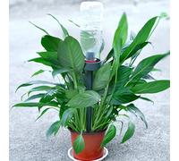 Automatic Drip Irrigation Waterer for Garden Indoor Plants - Modifiable 4-Gear Flow Control Fits 550ml for 1.5l Plastic Bottles Pp Substance 29 X 6 Cm Green