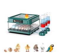 Automatic Egg Incubator with Egg Turner, Auto Water Replenishment, Temperature Control & LED Lighting for Chickens, Ducks, Geese & Birds, 12 Eggs Capacity