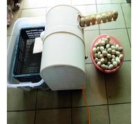 Automatic Egg Washing Machine - 120W Commercial Egg Cleaner for Chicken, Duck, and Goose Eggs - Efficient Surface Cleaning Brush System, 110V