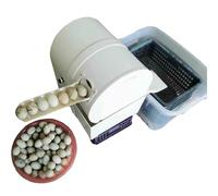 Automatic Egg Washing Machine, 2300 Eggs/Hour Egg Cleaner for Chicken, Duck, Goose Eggs, Commercial Egg Surfaces Brush Cleaning Tool