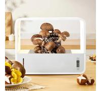 Automatic Mushroom Grow Kit with Adjustable Climate Control, Built-in Light for Optimal Growth, Ideal for Spores Cultivation and Mycology Projects