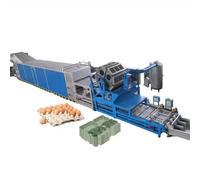 Automatic Paper Egg Tray Manufacturing Machine - Versatile Egg Tray and Carton Production Line for Cake Trays, Egg Cartons, and More