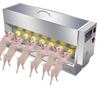 Automatic Pig Milk Feeder with Thickened Stainless Steel Nipples, Large Capacity Milk Box for Efficient Feeding of Piglets and Little Lambs