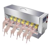 Automatic Piglet Milk Feeder with Constant Temperature, Stainless Steel Double-Sided Nursing Machine for Professional Pig Farms