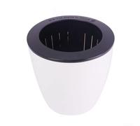 Automatic Self Watering Round Plastic Plant Pot Featuring Outer Water Storage and Cotton Rope for Soil Planting at Home or Office (180mm)