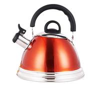 Automatic Sounding Kettle, Natural Gas Induction Cooker Universal Kettle, 304 Stainless Steel Household Hot Water Bottle Present XXZ