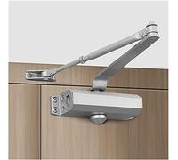 Automatic Spring Door Closer, 2 Spring Hydraulic Buffer Adjustable Door Stopper Speed Mute Closing Fit For 25 To 80KG Door Hardware (Black M) (Color : Silver L)