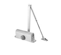 Automatic Spring Loaded Door Closer, Door Closer 2 Spring Hydraulic Buffer Speed Control for 25-80kg Doors Black Silver(Positioning Silver L)