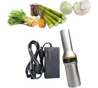 Automatic Sugarcane Peeler Machine, Mini Electric Fruit Scraper, Stainless Steel Fast Peeling for Coconut, Taro, Pumpkin, Pineapple