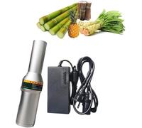 Automatic Sugarcane Peeler, Mini Electric Sugar Cane Peeler Peeling Machine, Cutter Tool, Stainless Steel Material, for Coconut, Pumpkin, Winter Claw, Taro, Pineapple.
