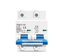 Automatic switch Circuit Breaker 2p DC MCB 600V 125A 100A 80A Circuit Breaker for PV System C Curve Battery Main Switch (Size : 100A)