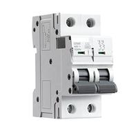 Automatic switch Circuit Breaker Gym9 2 Pole MCB Circuit Breaker 23 0V 6a-63a AC Typ (Color : 50a, Size : 2 Pole C Curve)