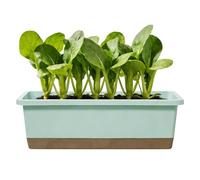 Automatic Wick Irrigation Planter - Large Rectangular Vegetable Basin, Self-Watering Flower Pot, Interior Exterior Herb Garden Container, Strawberry Growth Support Bed, Modern Window Box | For Homeown