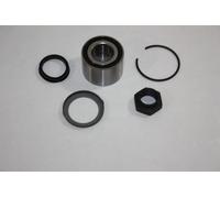 AUTOMEGA 110129710 Wheel Bearing Kit for CITRO?N,PEUGEOT
