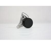 AUTOMEGA 160034410 Belt Tensioner, V-ribbed belt for AUDI,VW