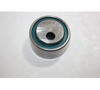 AUTOMEGA 160080810 Tensioner pulley