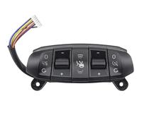 Automobile Parts Cruises Control Switches For Truck Replaces Parts 2545507 2980504 Button
