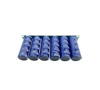 Automotive capacitor module 16V 133F auxiliary voltage regulator