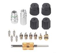Automotive R134a Valve Core Set 17 Piece Assembly for Buick, Perfect for DIY Enthusiasts