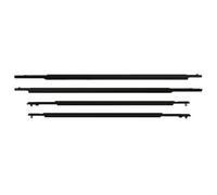 Automotive Window Seals Compatible with Toyota for Prius 2010 2011 2012 2013 2014 2015 Car Window Weatherstrip Side Door Glass Belt Moulding Sealing Strip