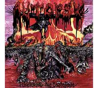 Autopsy - Puncturing The Grotesque [VINYL]