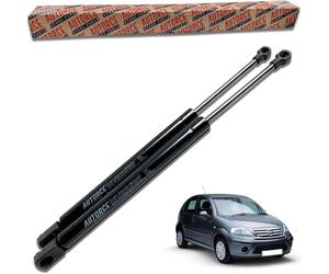 AUTORCE 2 Pcs Rear Tailgate Boot Gas Struts Intended For Citroen C3 Hatchback MK1 2002-2011 Lift Support Shock Absorber System 420 (N) 445 MM - 8731.G3, 96398538801