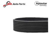 FEBI BILSTEIN 46352 Serpentine belt