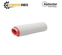 RIDEX 8A0011 Air filter