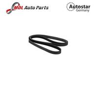 INA FB 6PK2520 Serpentine belt