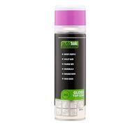AutoTek Professional Enamel Berry Purple Spray Paint, Aerosol Spray 300 ml