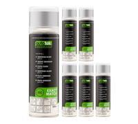 Autotek Professional Exact Match Car Spray Paint, Vauxhall Sovereign Silver Metallic Aerosol Spray, 300 ml