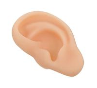 AUTSUPPL 1pc Ear Model for Education Realistic Left Ear Teaching Aid and Reusable Structure for Anatomy Study and Structure Knowledge