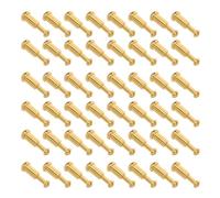 AUTSUPPL 50 Sets Golden Chicago Screws for Leather Craft, Mini Stainless Steel Rivet Hardware for Bag Making Supplies, Purse and Shoe Repair, DIY Leather Belt Fasteners