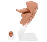 AUTSUPPL Silicone Piercing Practice Mouth Face Model Tongue Simulation Body Part Flexible Training Tool for Piercing Studios and Jewelry Display in Coffee Color