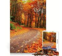Autumn Alley Ukraine 1000 Piece Jigsaws for Adults Brain Agility Happy Idle Time Secure Join Xmas Present (38x26cm)