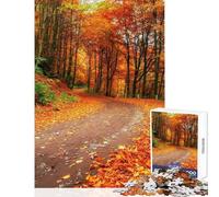 Autumn Alley Ukraine for Adults 1000 Piece Jigsaw Puzzle Art Work Gifts Improve Memory Toy Wall Decor for And from 14 Years And over size 50x75cm