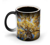 Autumn Aspen Canopy Cute Color Changing Mug Ceramic Heat Sensitive Mugs Magic Coffee Cup with Handle 12 Oz
