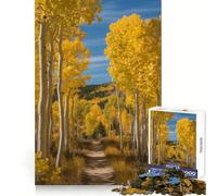 Autumn Aspen Trees Along A Path 1000-piece Puzzle for Teenagers Thinking Skill Calm Distraction Smooth Cut Great Gift (50x75cm)