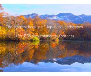 Autumn begins by the water's edge