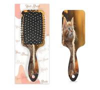 Autumn Cat Hair Brush Fall Leaves Wet Dry Air Cushion Hair Brush Plastic Detangler Hairbrush for Kids Adults Back To School Gift Women Men