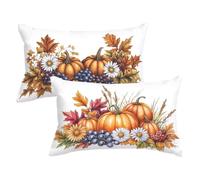 Autumn Cushion Covers 40 x 60cm Garden Cushions Pumpkin Pillow Cases 2 pack, Sofa Cushions Decorative Pillows with Invisible Zipper Velvet Rectangle Pillowcases for Indoor Living Room Home Decor P-17
